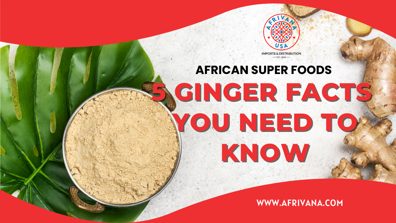 5 Amazing Ginger Facts you Need to Know AFRICAN SUPERFOODS