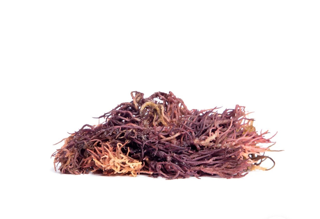 Wildcrafted Raw Seamoss (Tanzania)