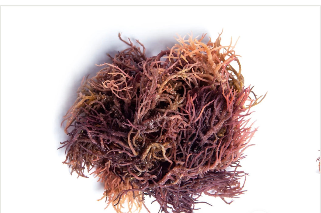 Wildcrafted Raw Seamoss (Tanzania)