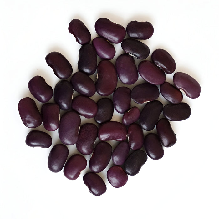 Ayocote Bean (Frijol) - 50 (50 lb), ASDS-AFRIVANA Bulk Wholesale Marketplace