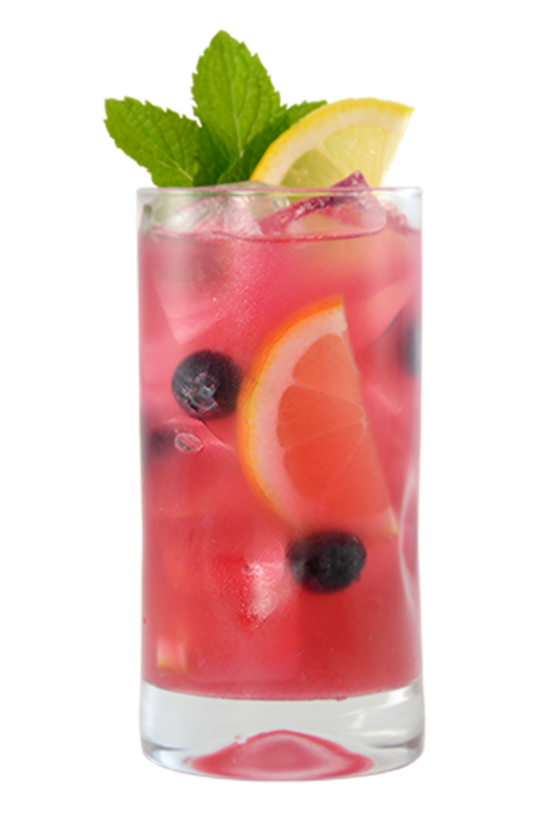 Blueberry Hibiscus Lemonade - 12oz - Pride Road, ASDS-AFRIVANA Bulk Wholesale Marketplace