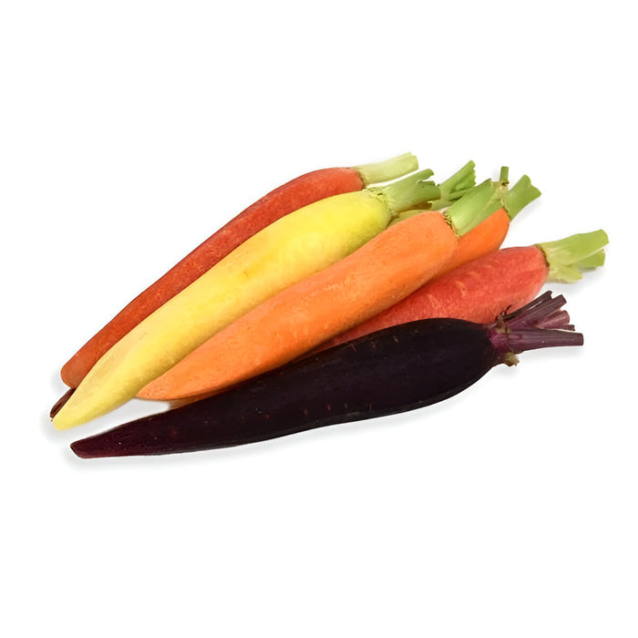 CARROT BABY TRI COLOR PEELED 5LB