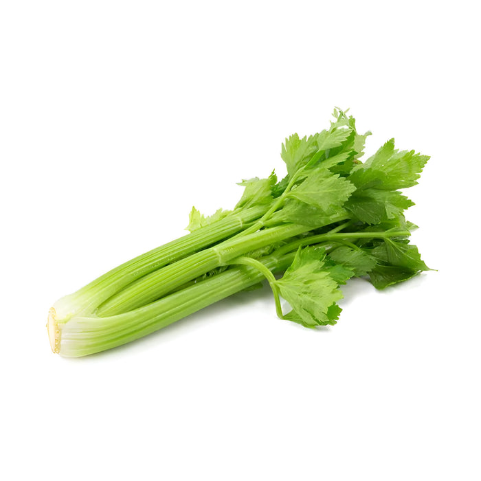 CELERY SLEEVED 30CT