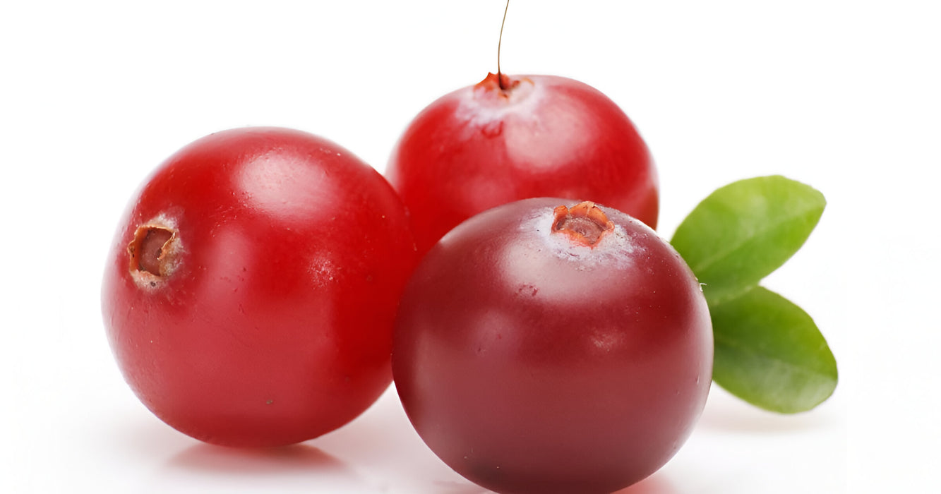 CRANBERRY 24/120Z