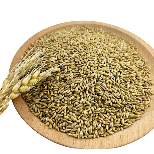Canary (Alpiste) - 50 (50 lb), ASDS-AFRIVANA Bulk Wholesale Marketplace