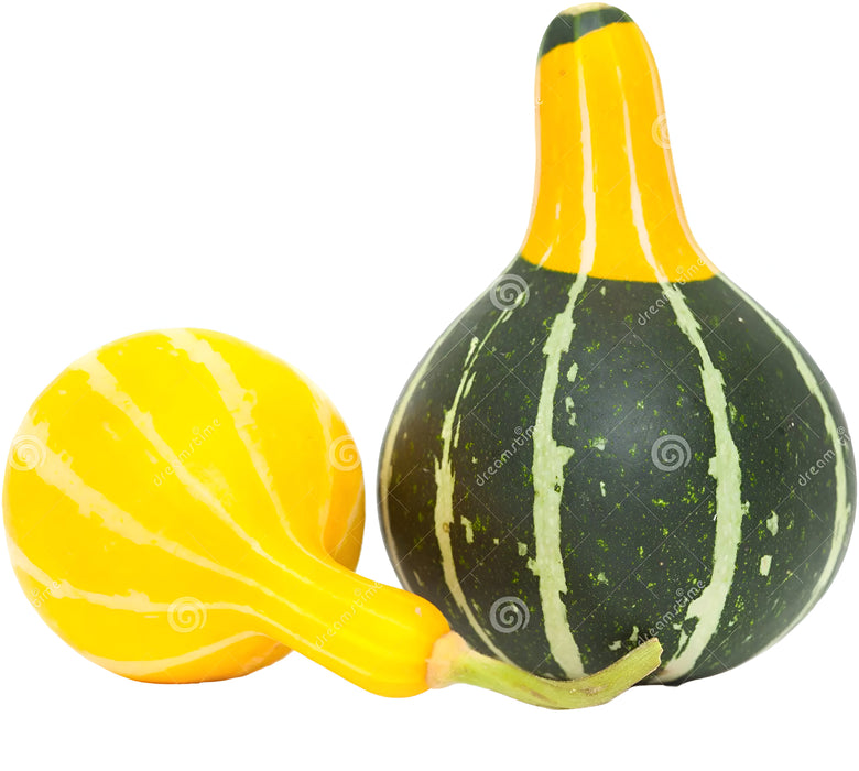GOURD MIXED ORNAMENTAL 1/2BU