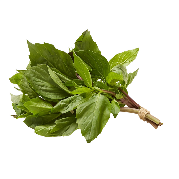 HERB BASIL THAI 1LB