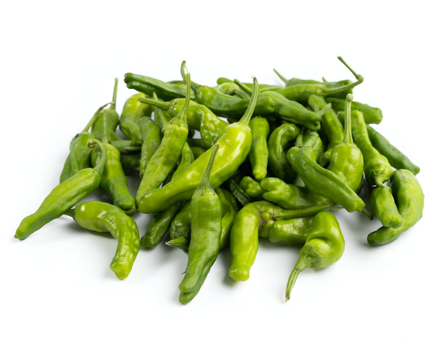 PEPPER SHISHITO 10LB