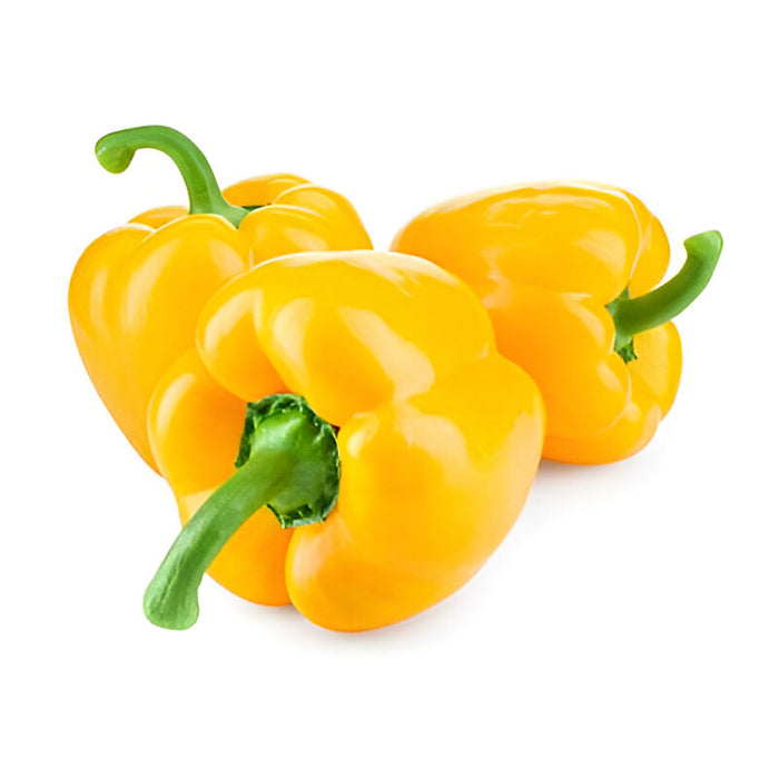 PEPPER YELLOW HOT HOUSE 11LB