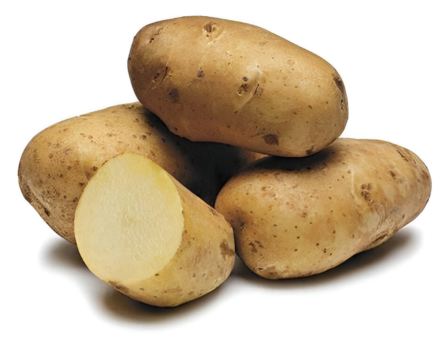 POTATO IDAHO MESH BAG 5/10LB