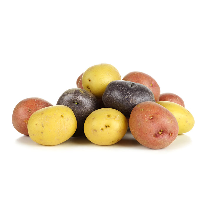 POTATO MARBLE MIXED 50LB