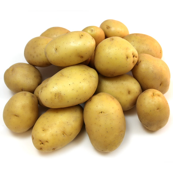 POTATO YUKON GOLD 10/5LB