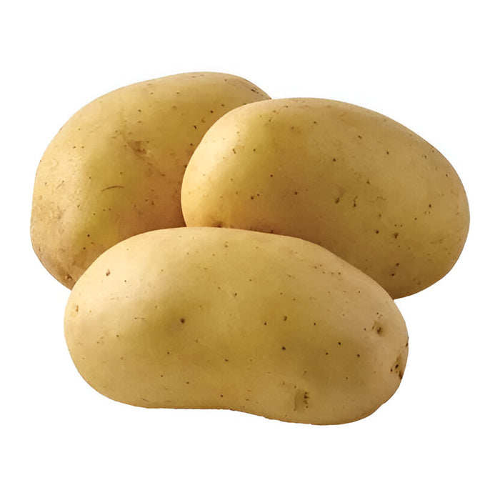 POTATO YUKON GOLD 16/3LB