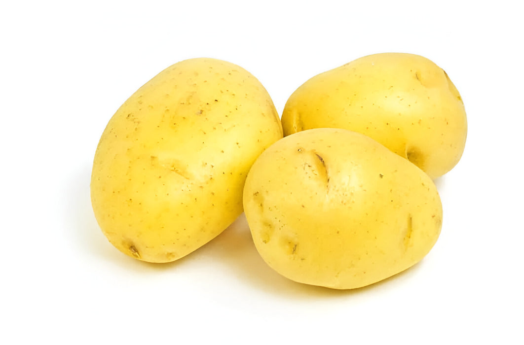 POTATO YUKON GOLD B #1 50LB