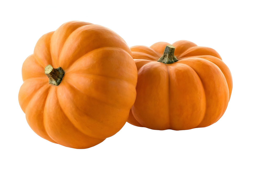 PUMPKIN MINI HALF BU