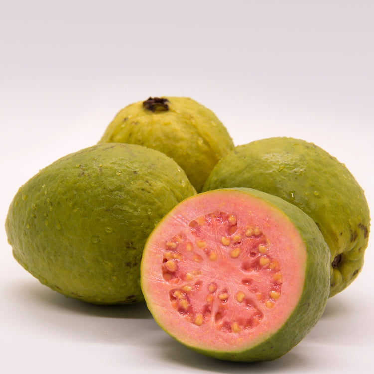 Thai Guava 20LB