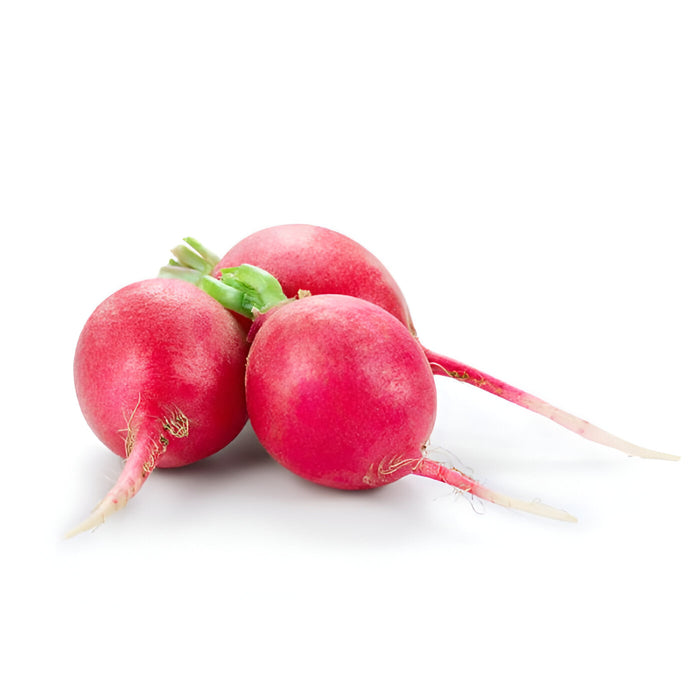 RADISH CELLO 14/ILB