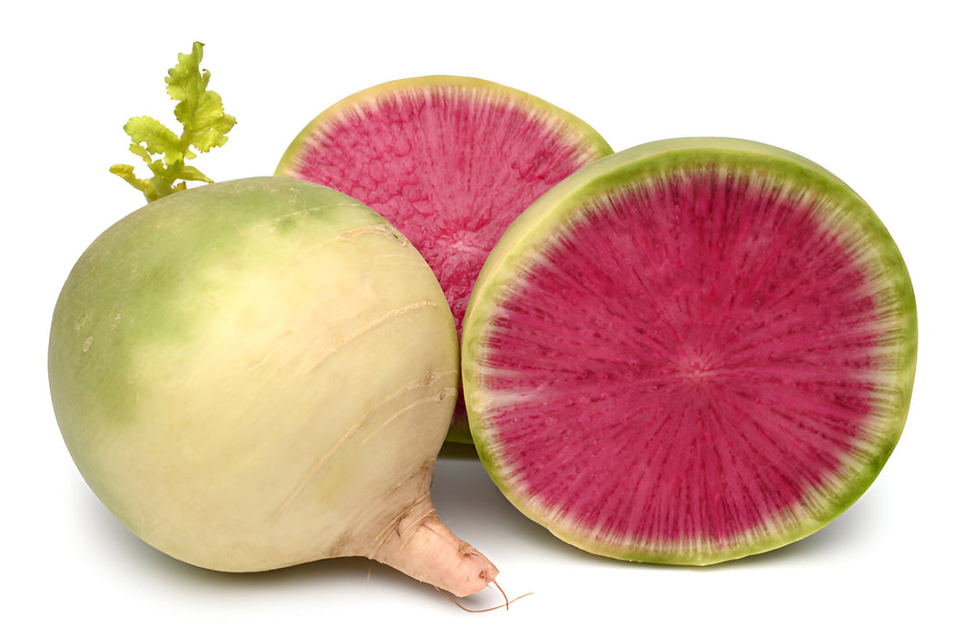 RADISH WATERMELON 25LB