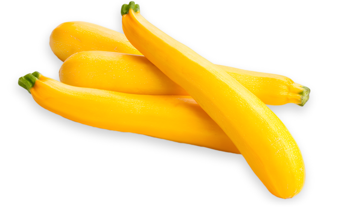 SQUASH YELLOW S/N FANCY TN
