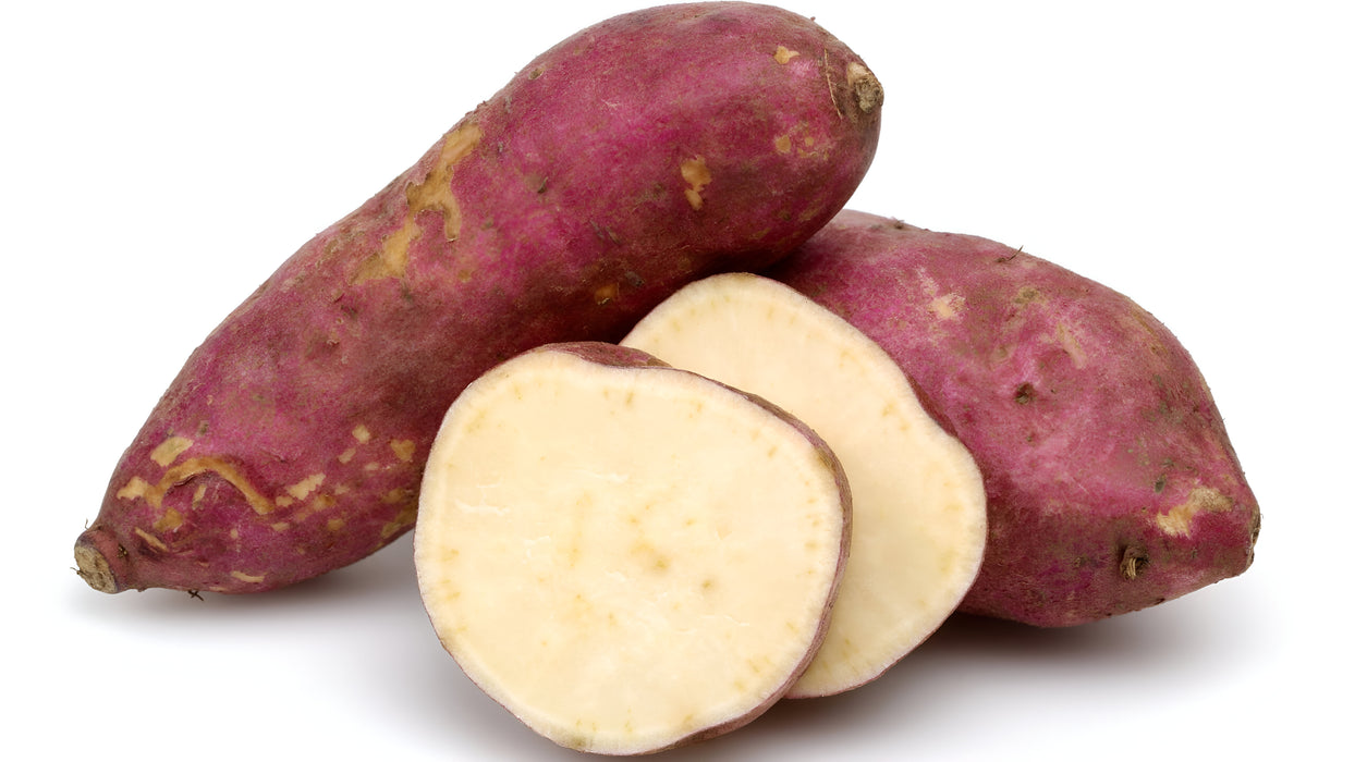 SWEET POTATO JUMBO N.C. 40LB