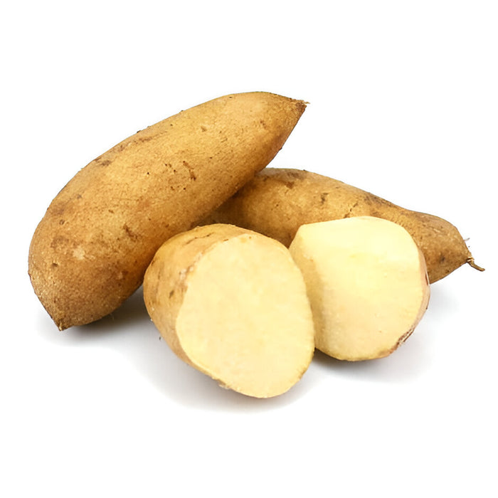 SWEET POTATO WHITE #1 40LB