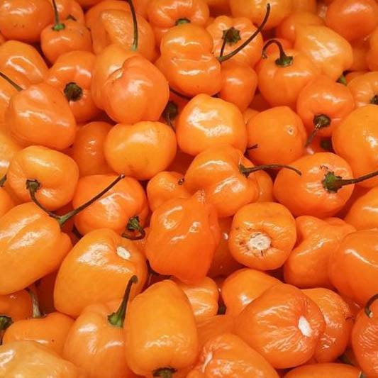 Sully’s Salsa (Mild/Medium)