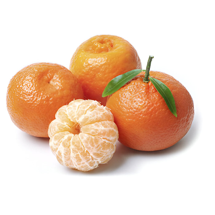 TANGERINE 120CT