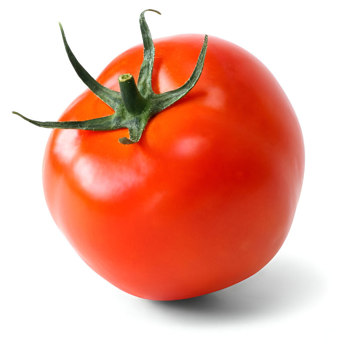 TOMATO 1-LAYER 6x6 25LB