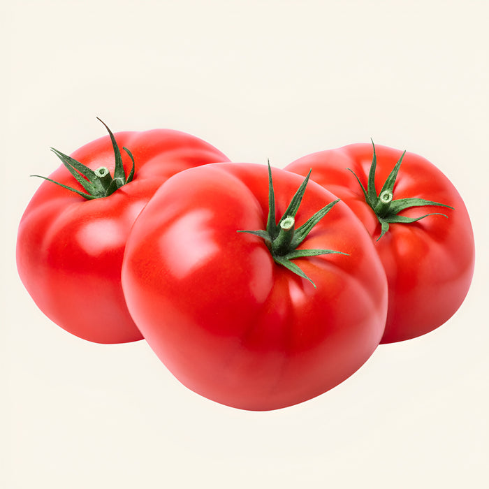 TOMATO BEEFSTEAK CLAM 12/ACT