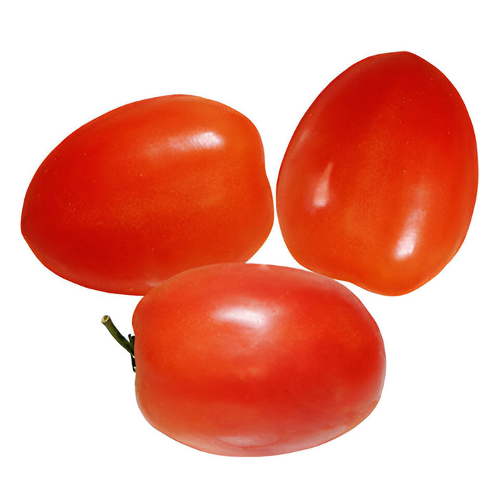 TOMATO ROMA MED 25LB