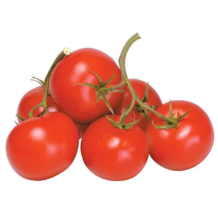 TOMATO VINERIPE 5X6 25LB