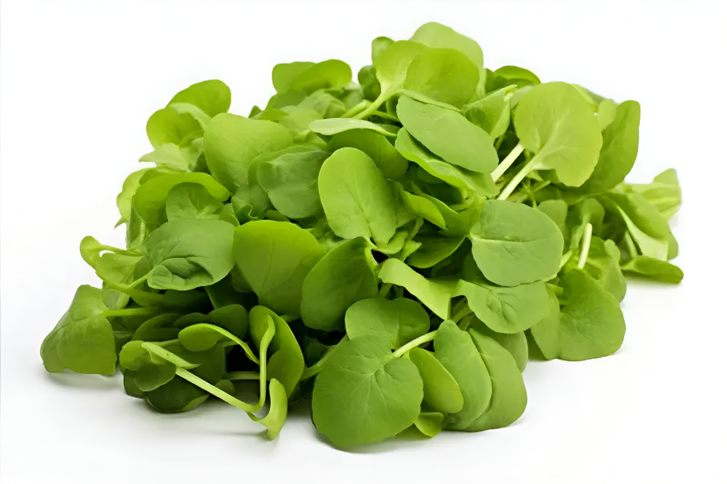 WATERCRESS GOURMET STEMLESS 3LB