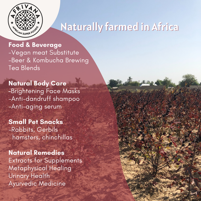 Vibrant dried hibiscus flowers naturally farmed in Africa. Use dried hibiscus flower for food or beverage, hibiscus for natural body care, hibiscus for small pet snacks, hibiscus for natural remedies, hibiscus for supplements